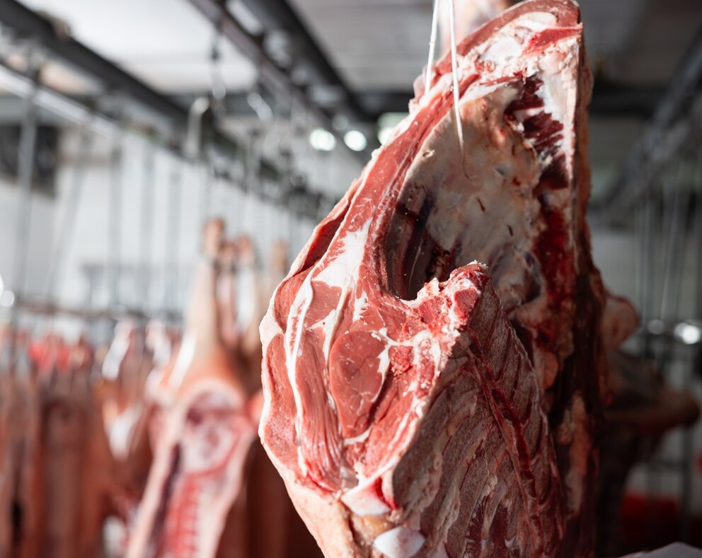 Carne vacuna: las exportaciones llegaron a USD 1.400 millones