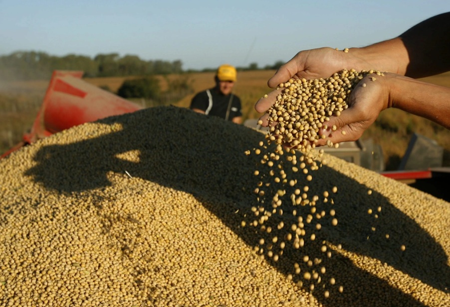Nuevo protocolo de semillas: qué cambia para productores y exportaciones argentinas