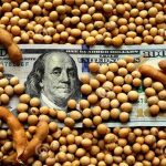 Qué lugar ocupó el agro en la economía argentina durante 2025, según FADA