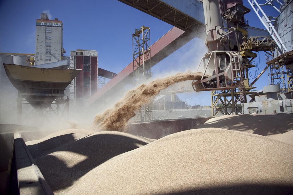 Agroexportaciones: el sector sumó casi USD 22.000 millones en los primeros cinco meses de 2026