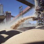 Agroexportaciones: el sector sumó casi USD 22.000 millones en los primeros cinco meses de 2026