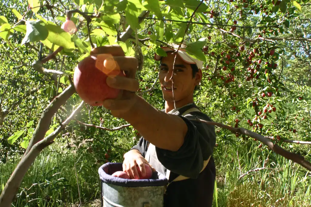 Todos los trabajadores y trabajadoras rurales ya pueden inscribirse en el Programa de Empleo Rural del RENATRE