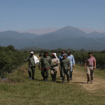 Medida del Renatre: la prestación por desempleo para trabajadores rurales sube 3,28% desde julio