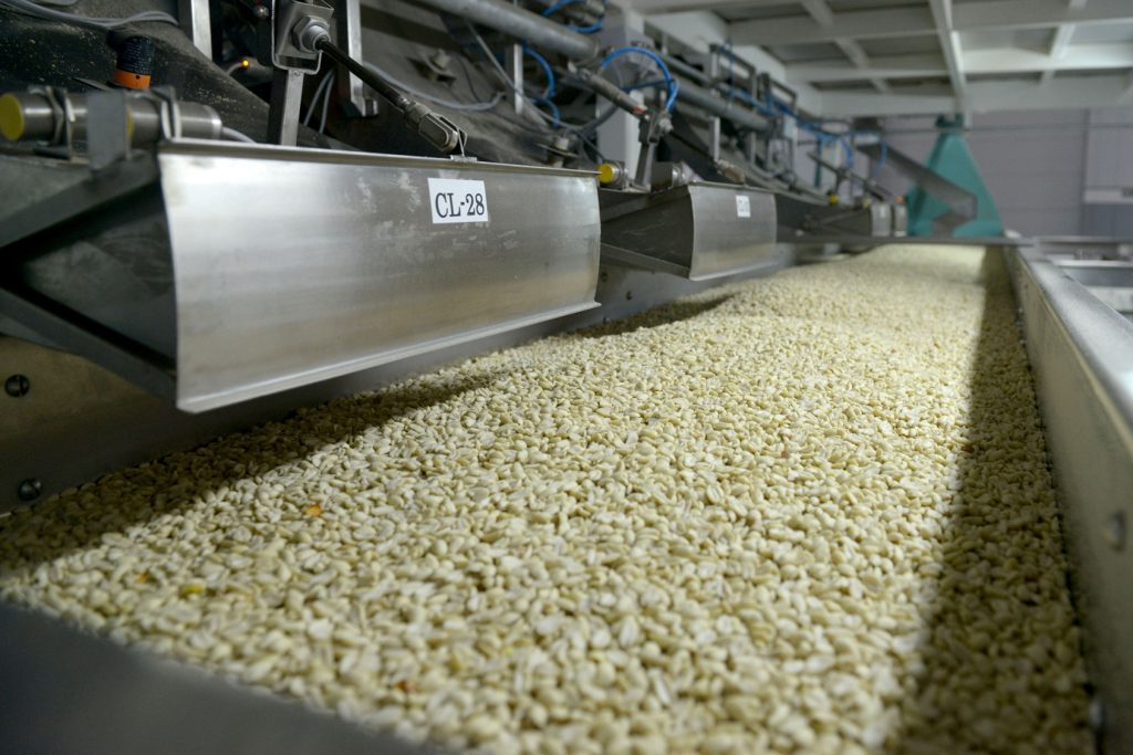 Maní, granos y carnes: qué muestra el nuevo semáforo de Coninagro