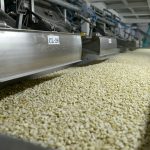 Maní, granos y carnes: qué muestra el nuevo semáforo de Coninagro