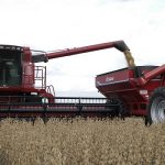 El campo podría volver a niveles récord: qué proyecta la BCBA para la cosecha 2026/27